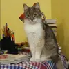 Отзыв от Нелли Максимова